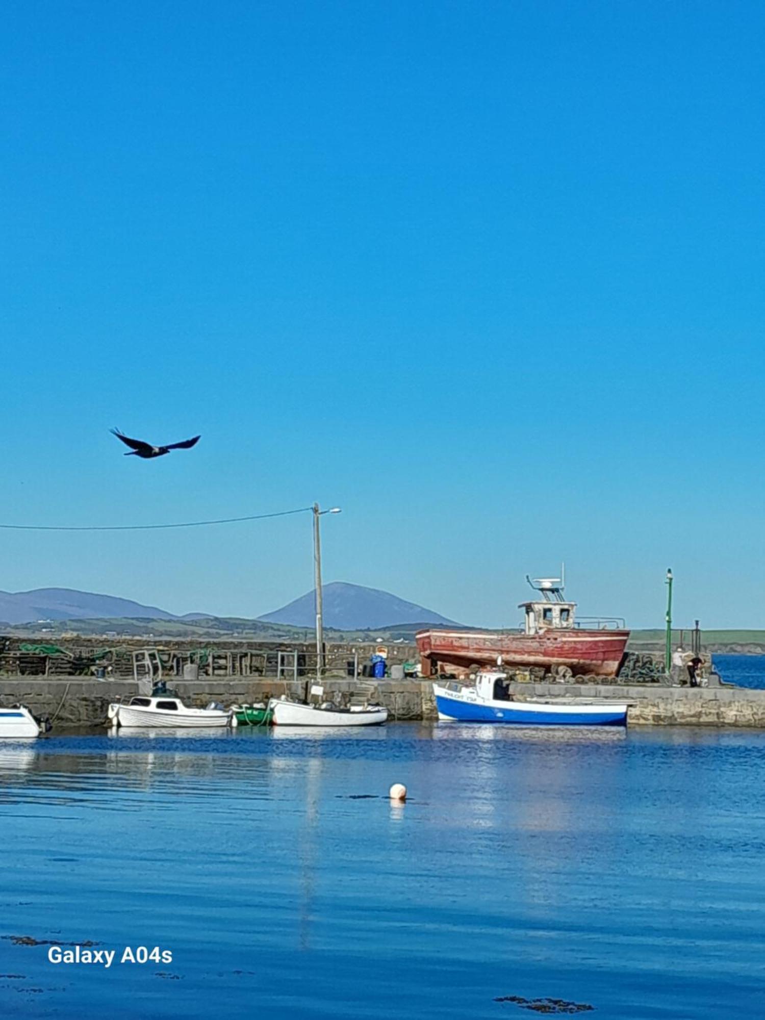 Elmgrove Apartment , Croagh Patrick Westport Exteriör bild